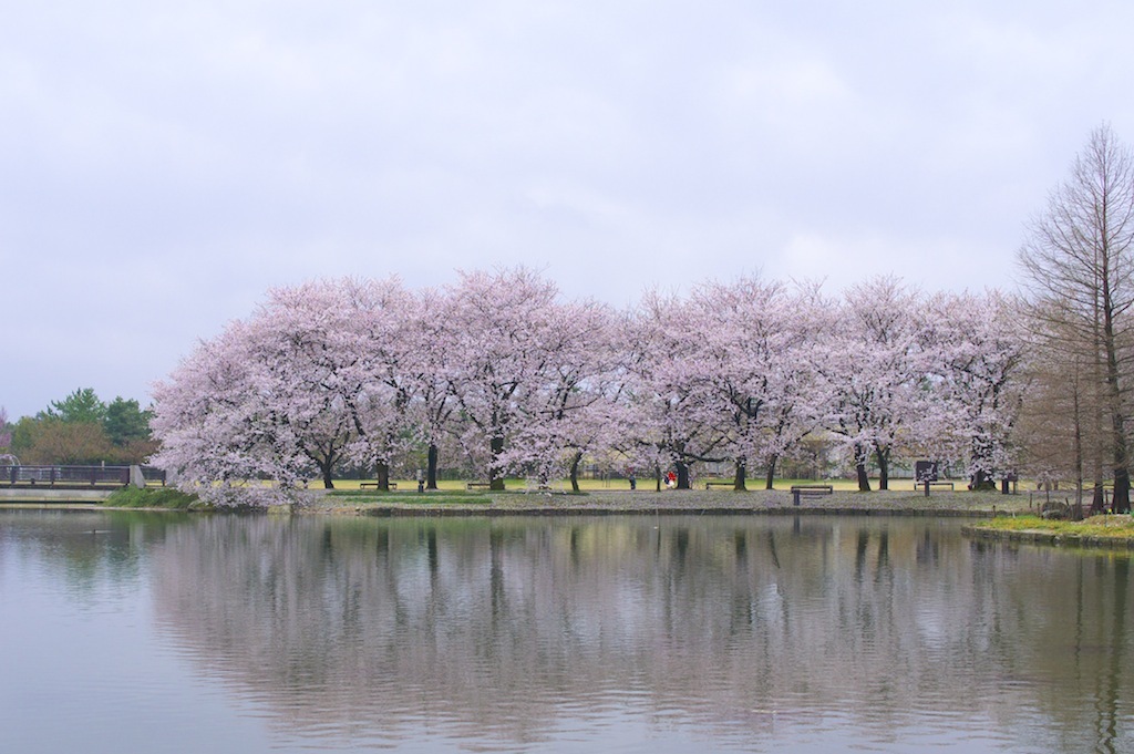 中央植物園