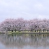 中央植物園