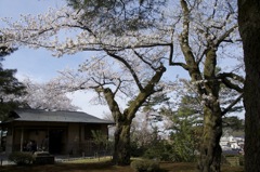 金沢兼六園