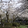 金沢兼六園