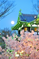 満月に映える夜の高田城三重櫓。