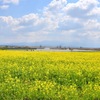 春の福島潟1