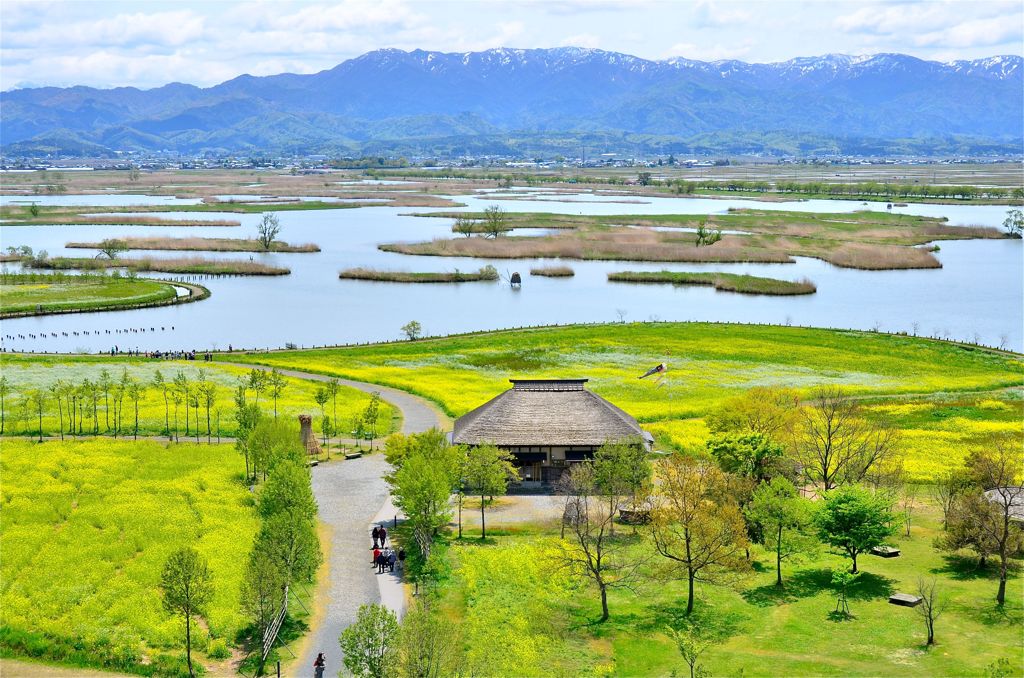 5月の福島潟