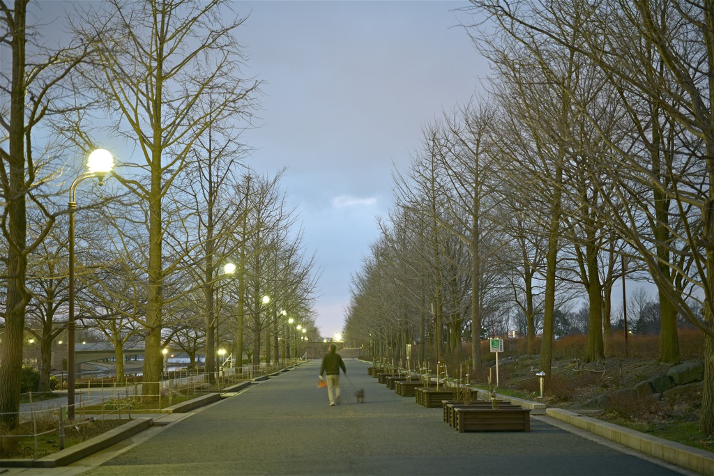 夕暮れの散歩道