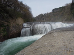 DSCN0145