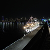 大桟橋からの夜景３