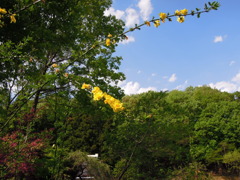 DSCN0214
