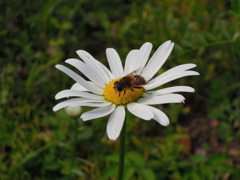 DSCN0217