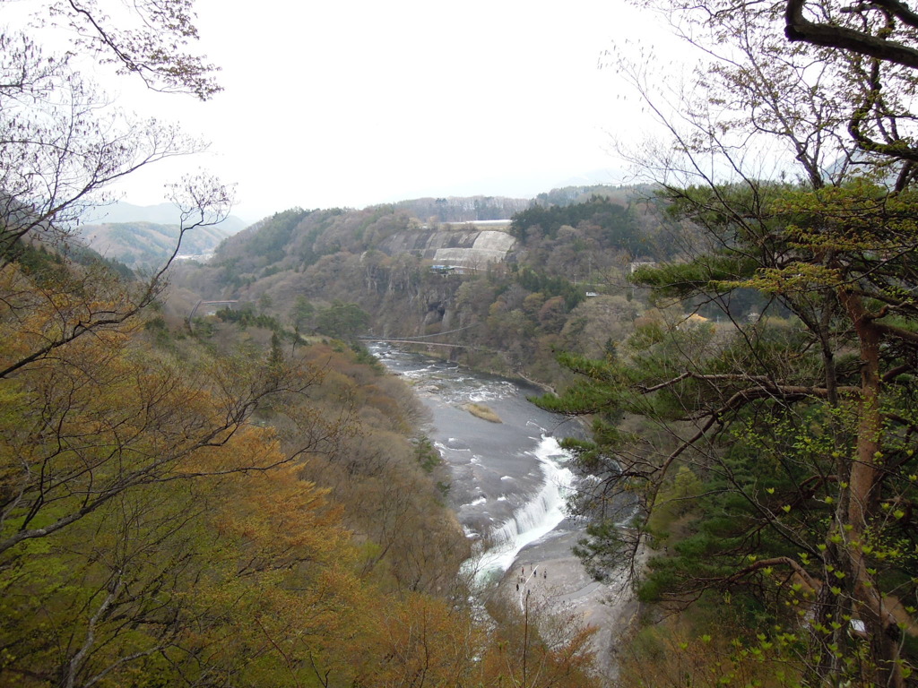 DSCN0163