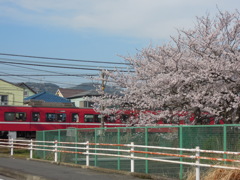 桜京急