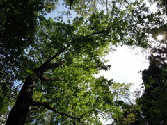 DSCN0188