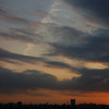 夕日