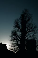 2011_04_06 17_17_30