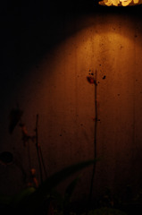 2011_04_13-18_16_55_edit