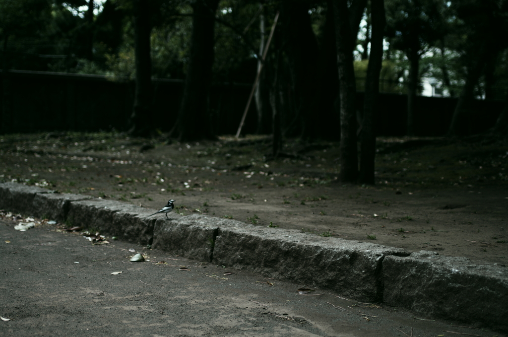park_02