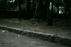 park_02