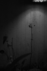 2011_04_13 18_16_55_2