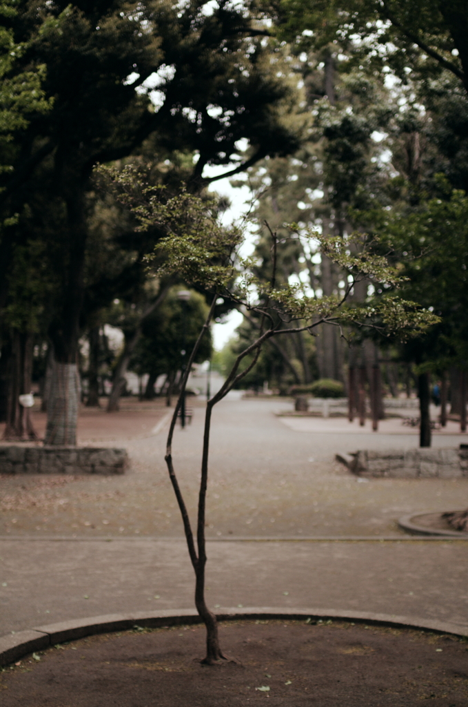 park_01