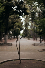 park_01