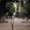 park_01