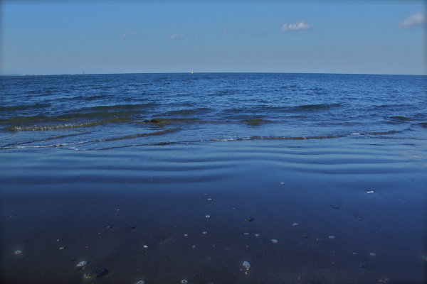 海