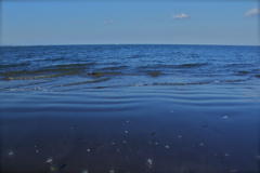 海