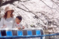 おかあさん　あのね。