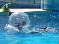 お客さん、つかまってくださいね