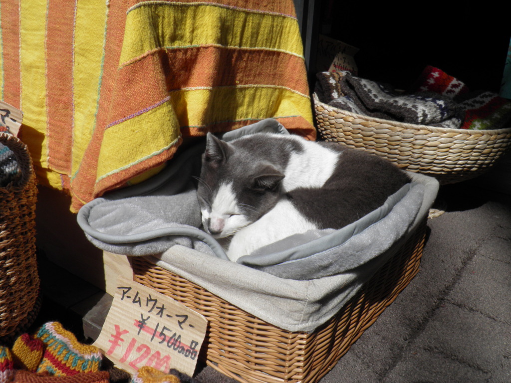 これも売り物ですか？？