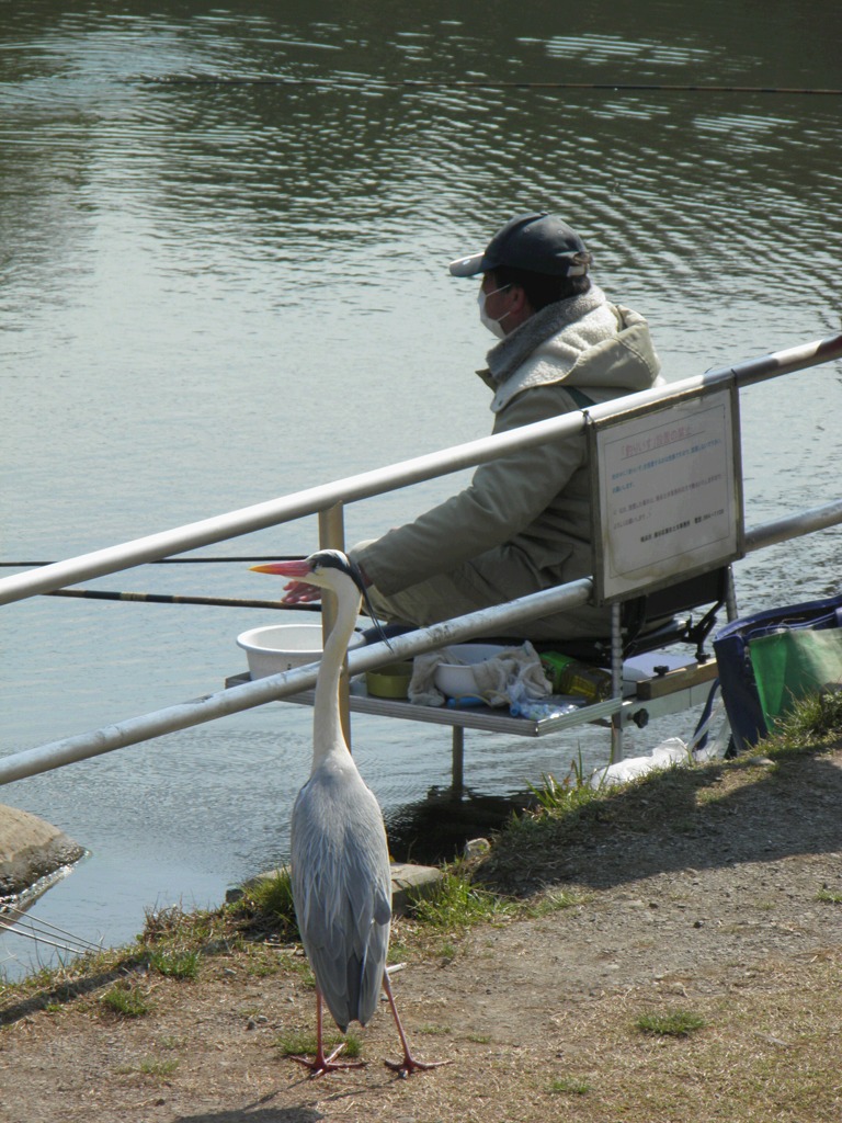 おじさん釣れた？？