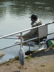 おじさん釣れた？？