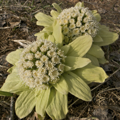 R0010422