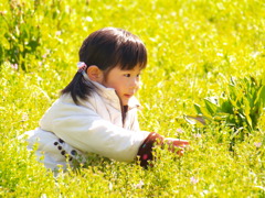 春の草原