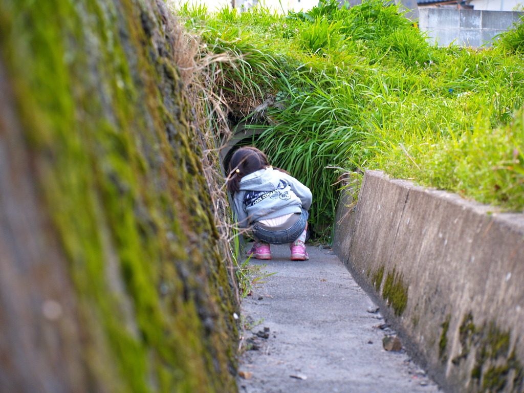 トトロどこかな～