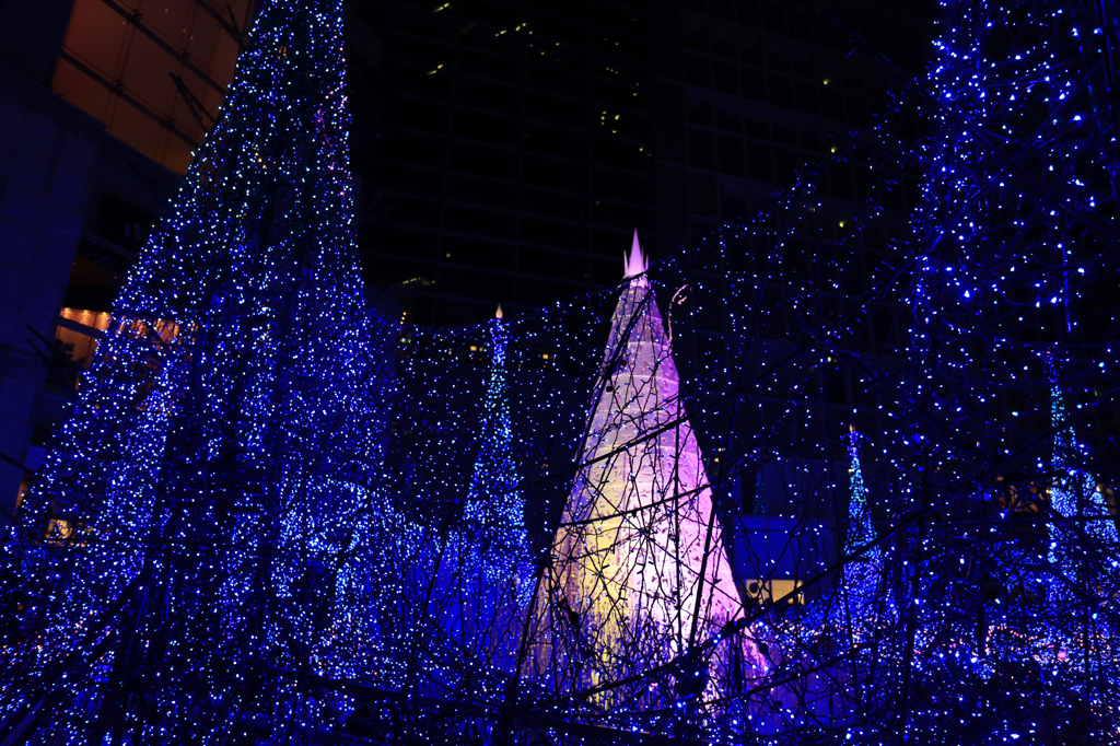 Caretta Illumination2015-1