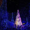 Caretta Illumination2015-1