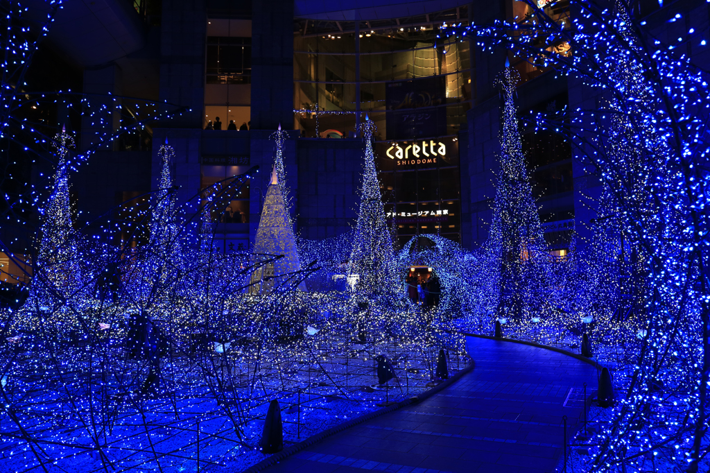 Caretta Illumination2015-2