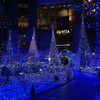 Caretta Illumination2015-2