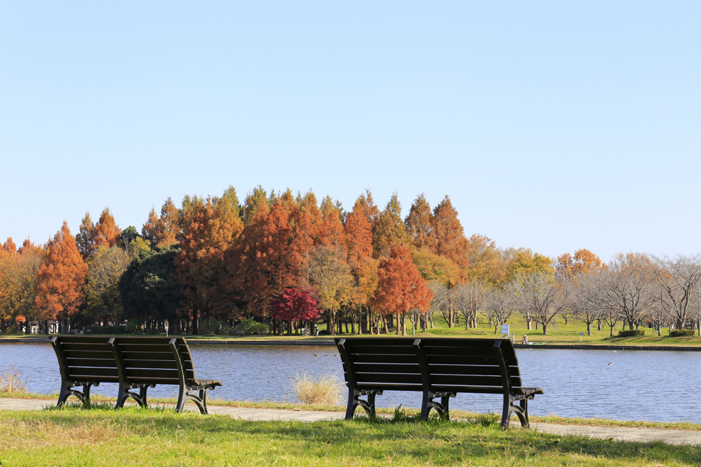 水元公園紅葉-2