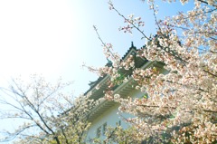 和歌山城
