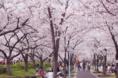 桜之宮公園