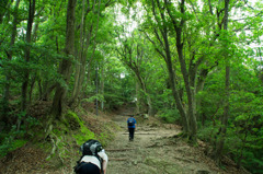 2011 07 02_4802_edited-1