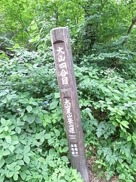 2011 07 18_5400