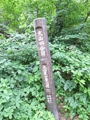 2011 07 18_5400