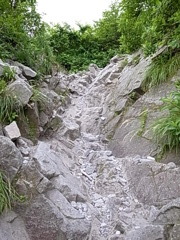 2011 07 18_5458