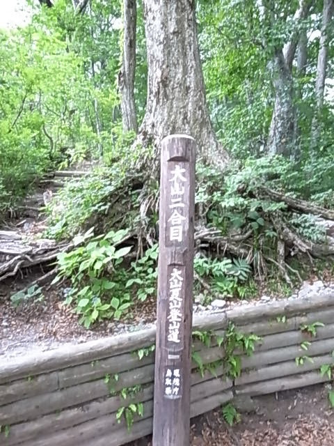 2011 07 18_5392