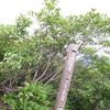 2011 07 18_5408