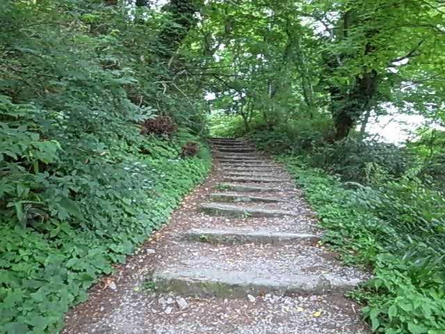 2011 07 18_5379