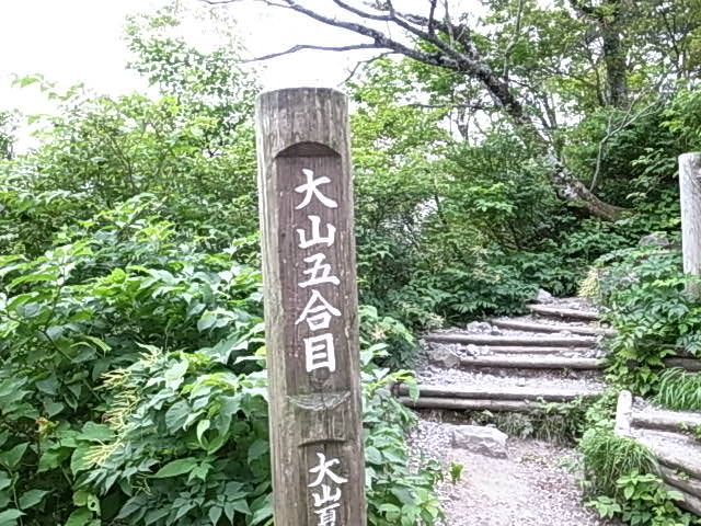 2011 07 18_5407