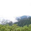 2011 07 18_5438